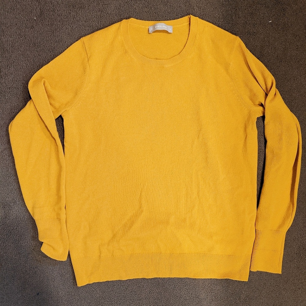Cashmere Everlane sweater